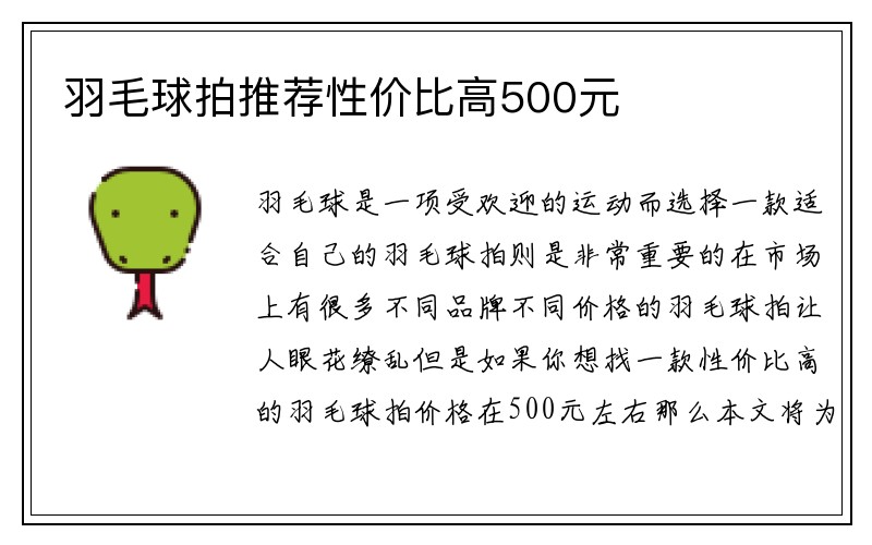 羽毛球拍推荐性价比高500元